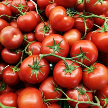 tomatos